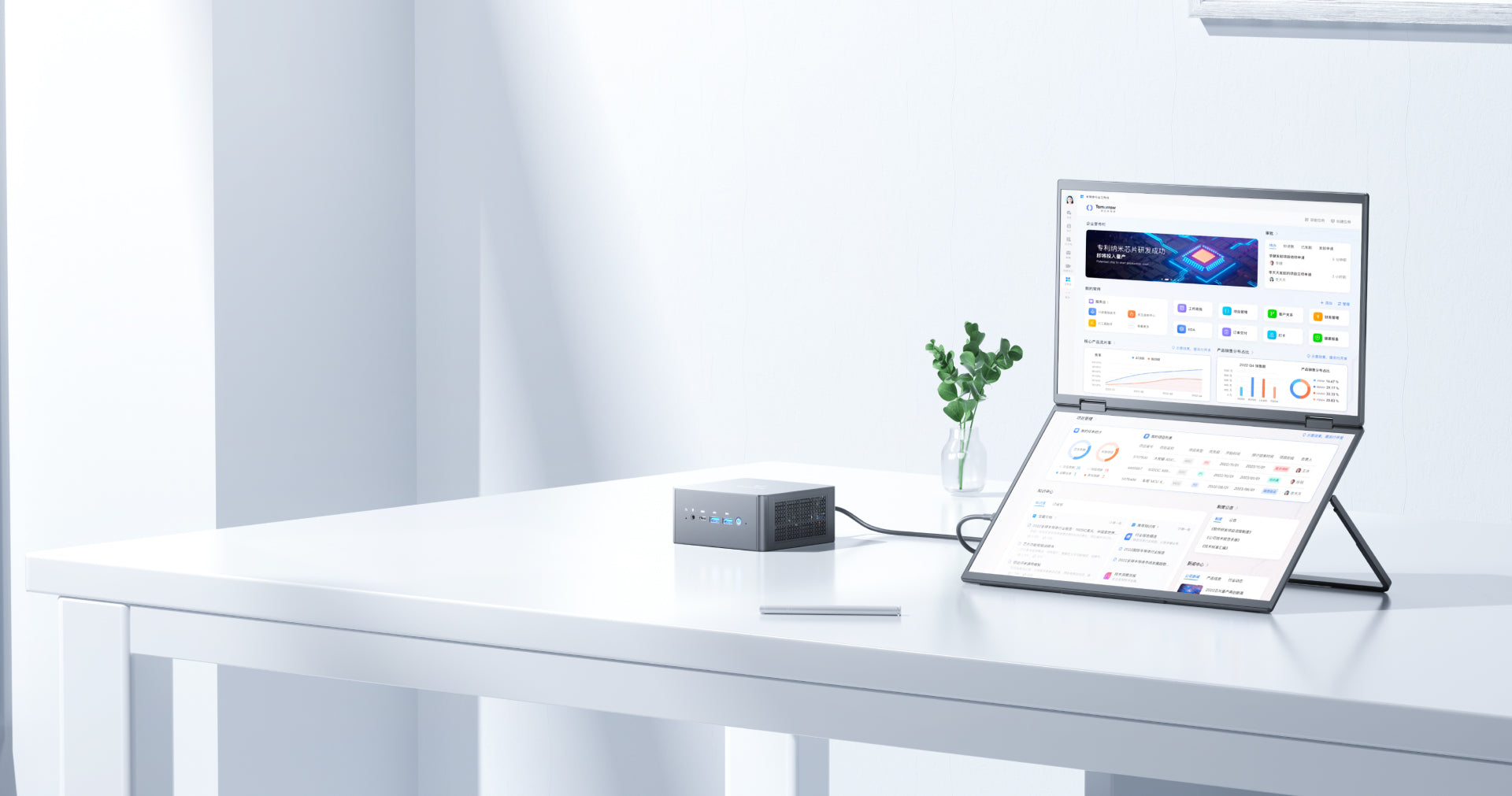 Portable monitor