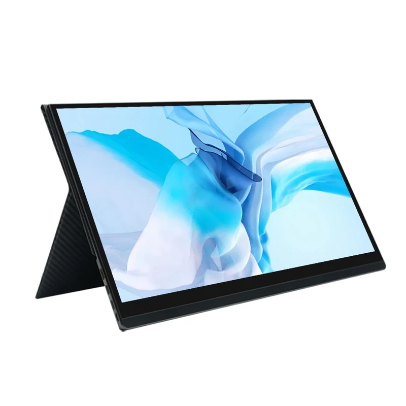 Portable monitor